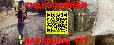 винт Партизанск