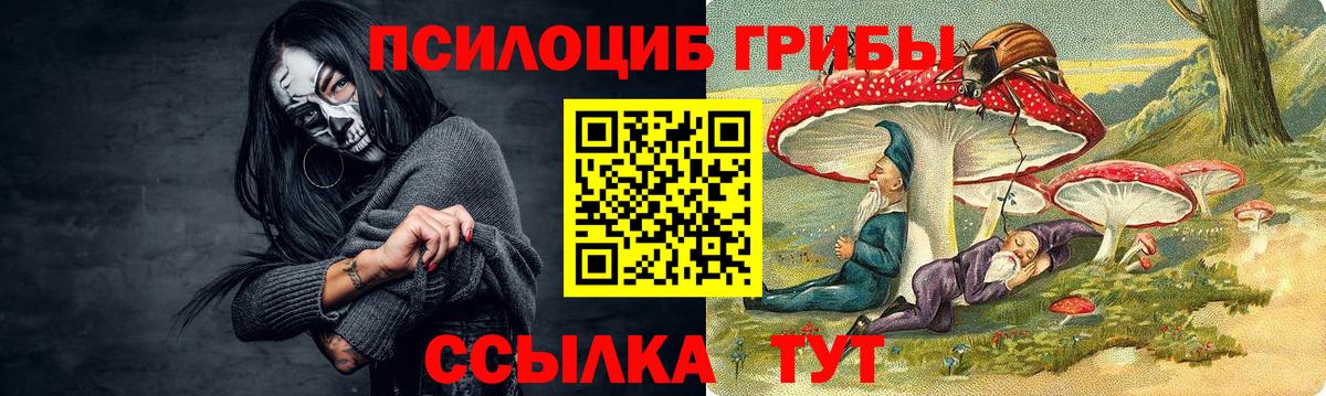 Галлюциногенные грибы Psilocybine cubensis  Вход с VPN  закладка  Сарапул 